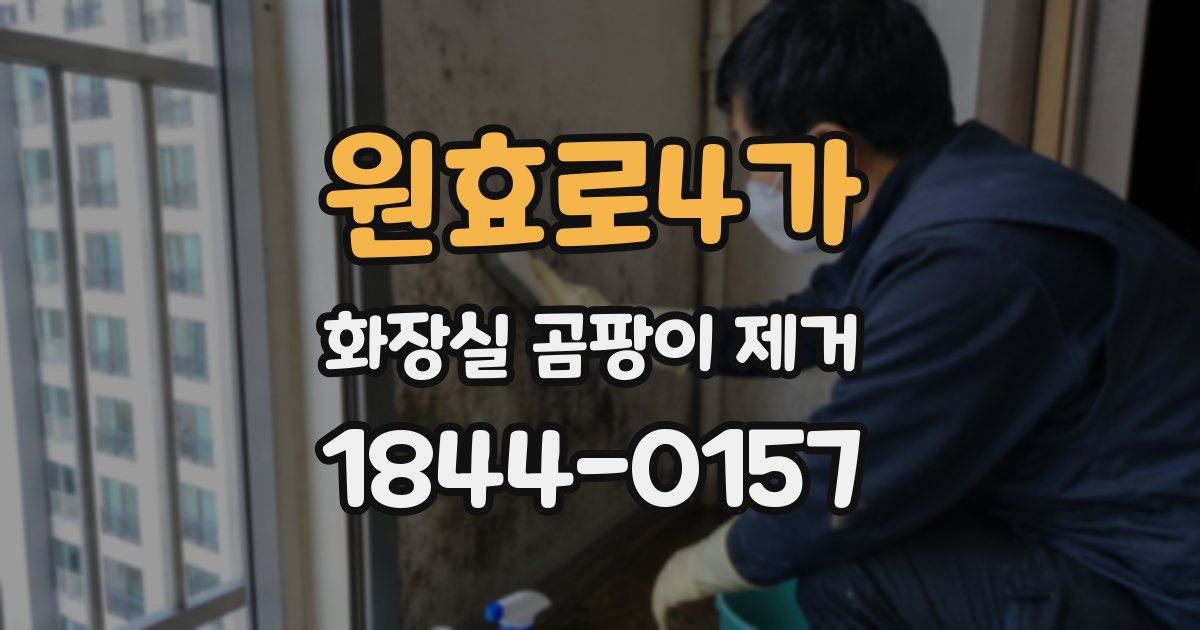 원효로4가 화장실 곰팡이 제거