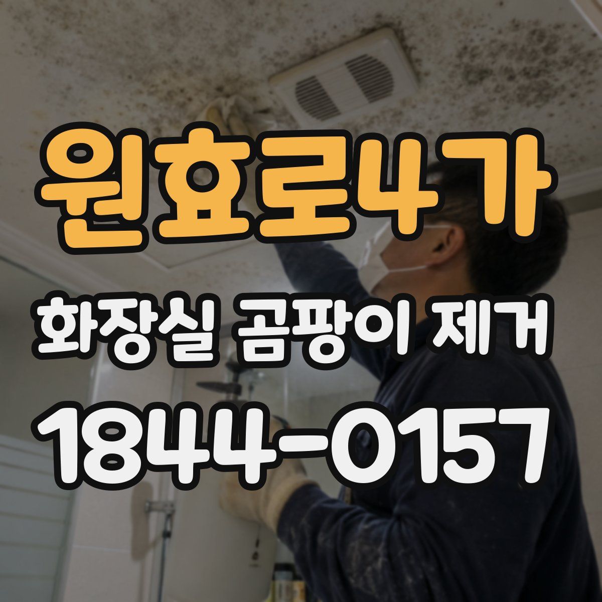 원효로4가 화장실 곰팡이 제거