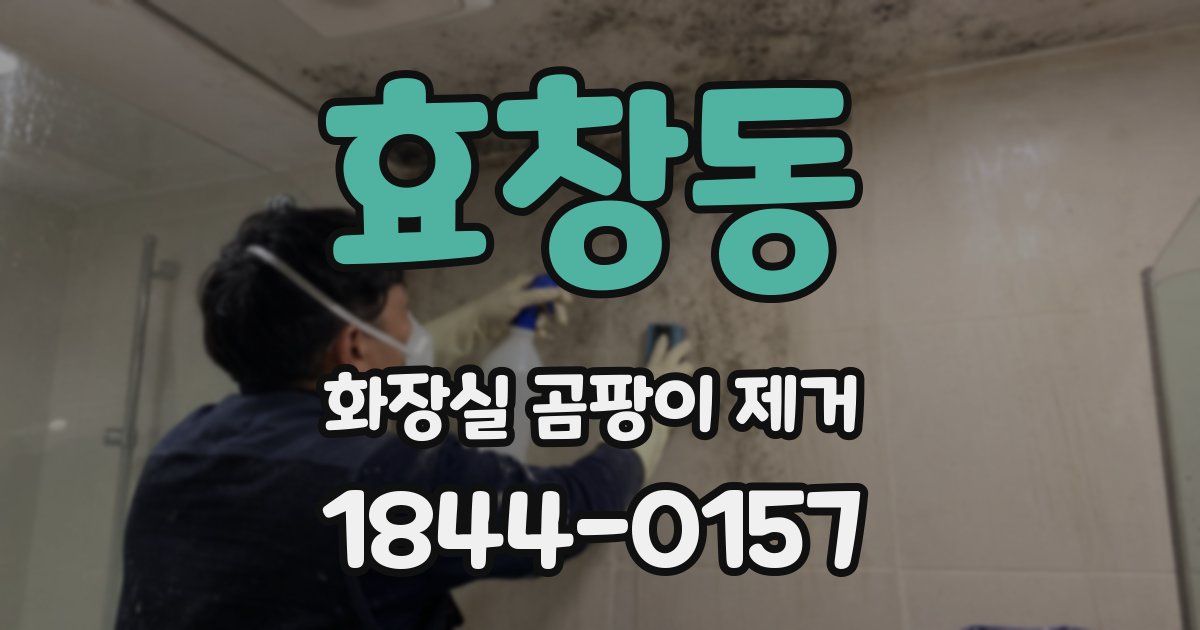 효창동 화장실 곰팡이 제거