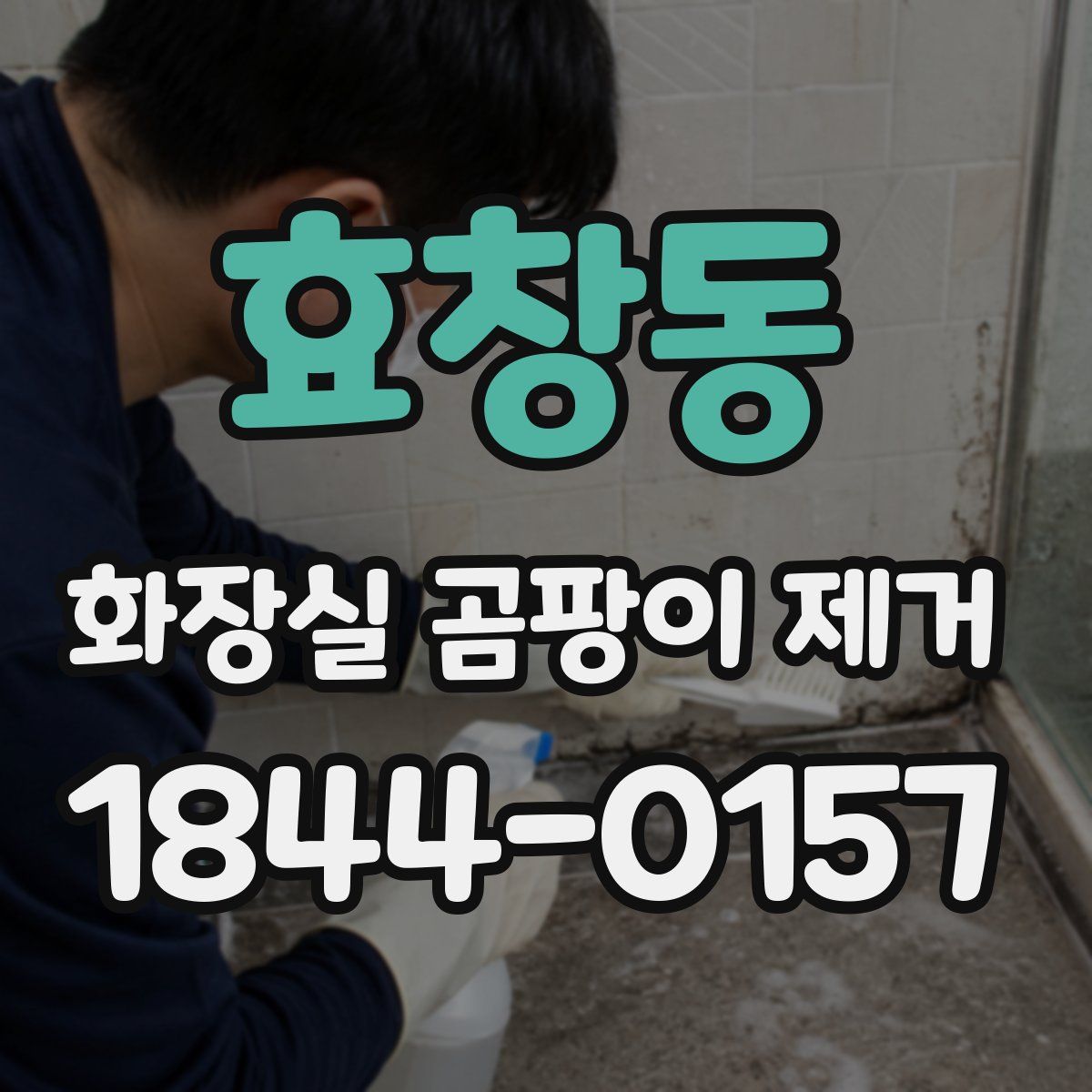 효창동 화장실 곰팡이 제거