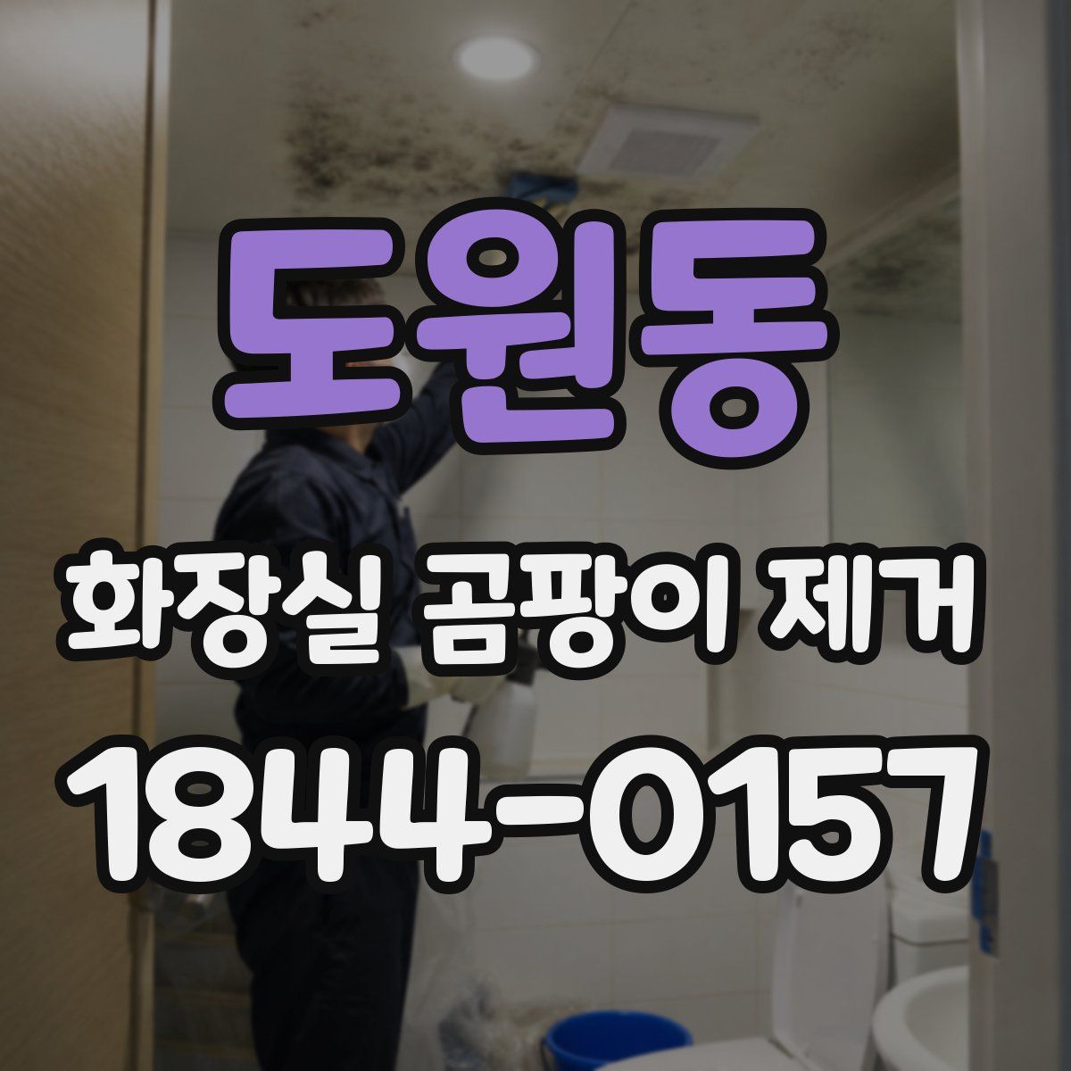도원동 화장실 곰팡이 제거