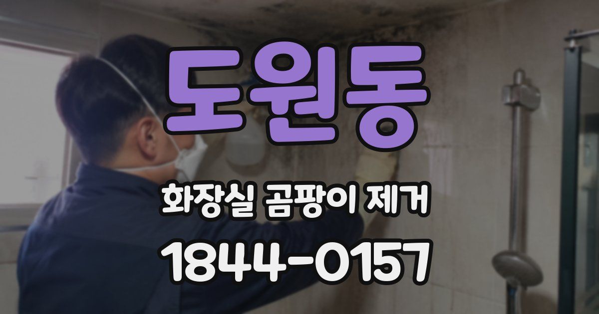 도원동 화장실 곰팡이 제거