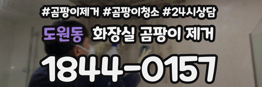 도원동 화장실 곰팡이 제거