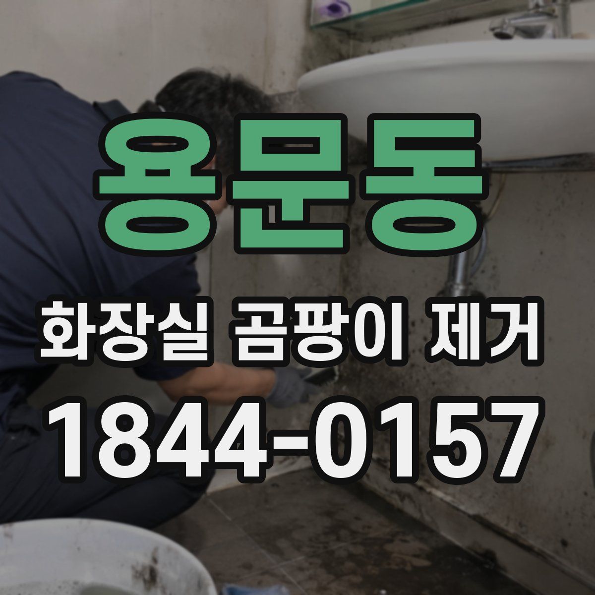 용문동 화장실 곰팡이 제거