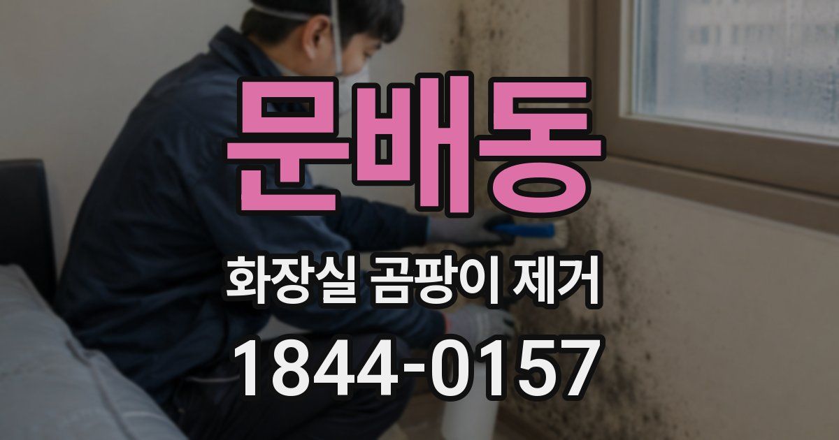 문배동 화장실 곰팡이 제거