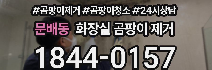 문배동 화장실 곰팡이 제거