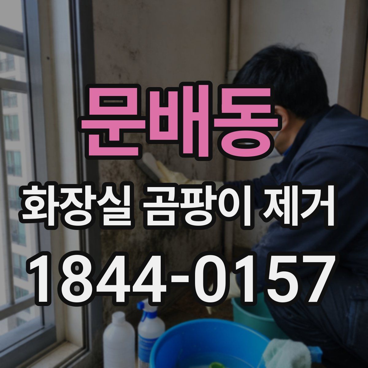 문배동 화장실 곰팡이 제거
