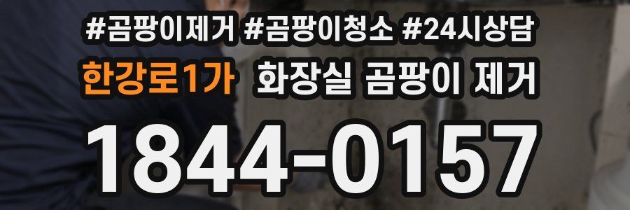 한강로1가 화장실 곰팡이 제거