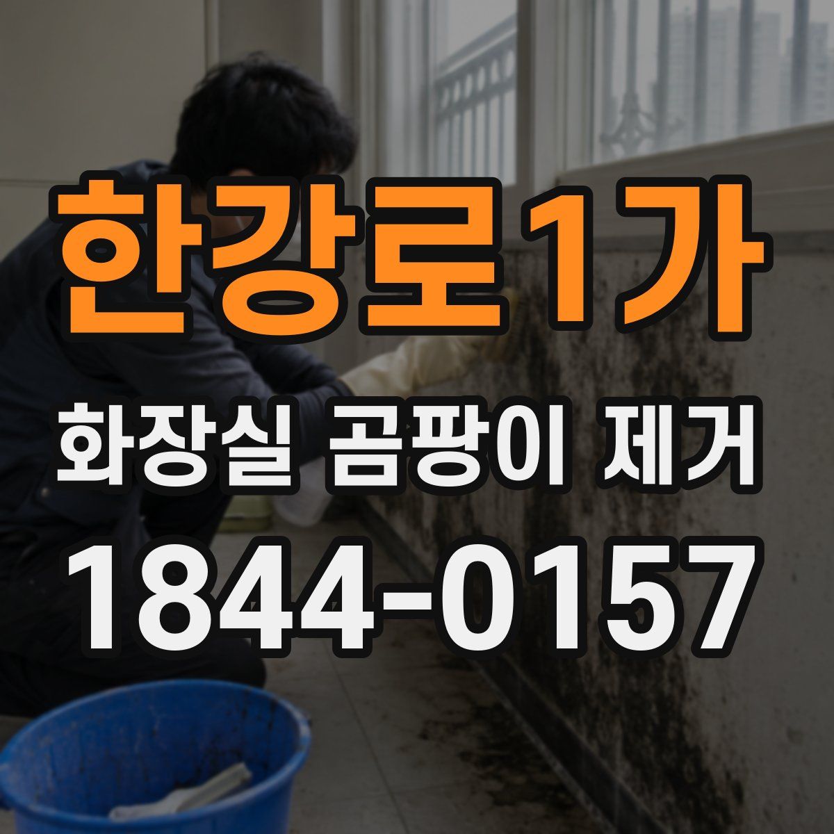 한강로1가 화장실 곰팡이 제거