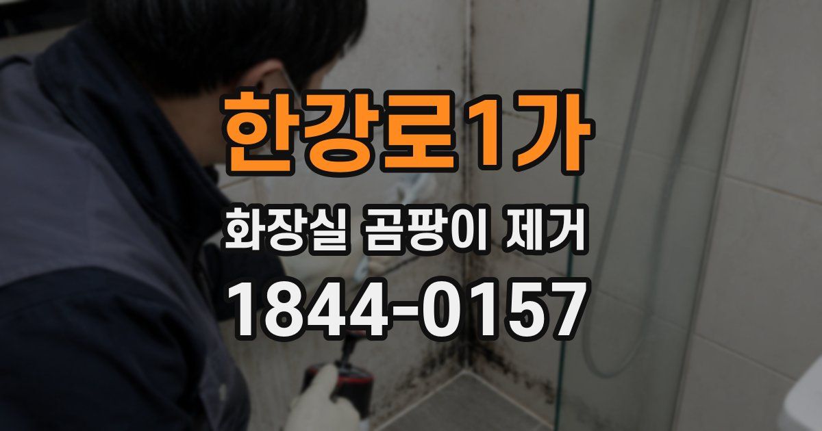 한강로1가 화장실 곰팡이 제거