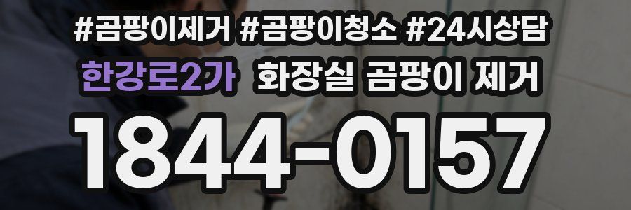 한강로2가 화장실 곰팡이 제거