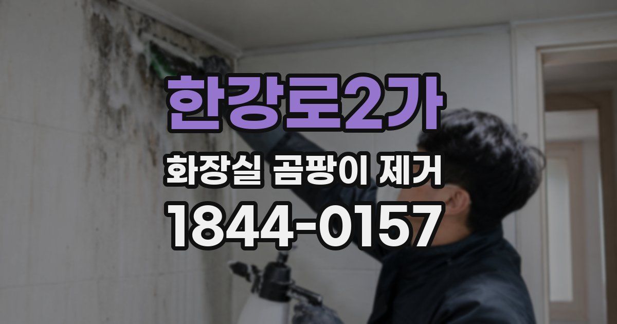 한강로2가 화장실 곰팡이 제거
