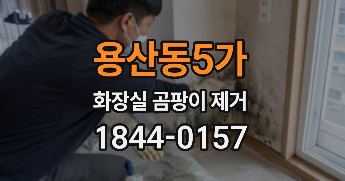 용산동5가 화장실 곰팡이 제거