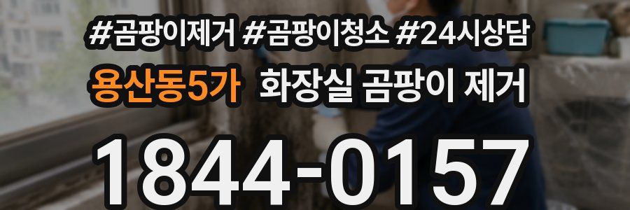 용산동5가 화장실 곰팡이 제거