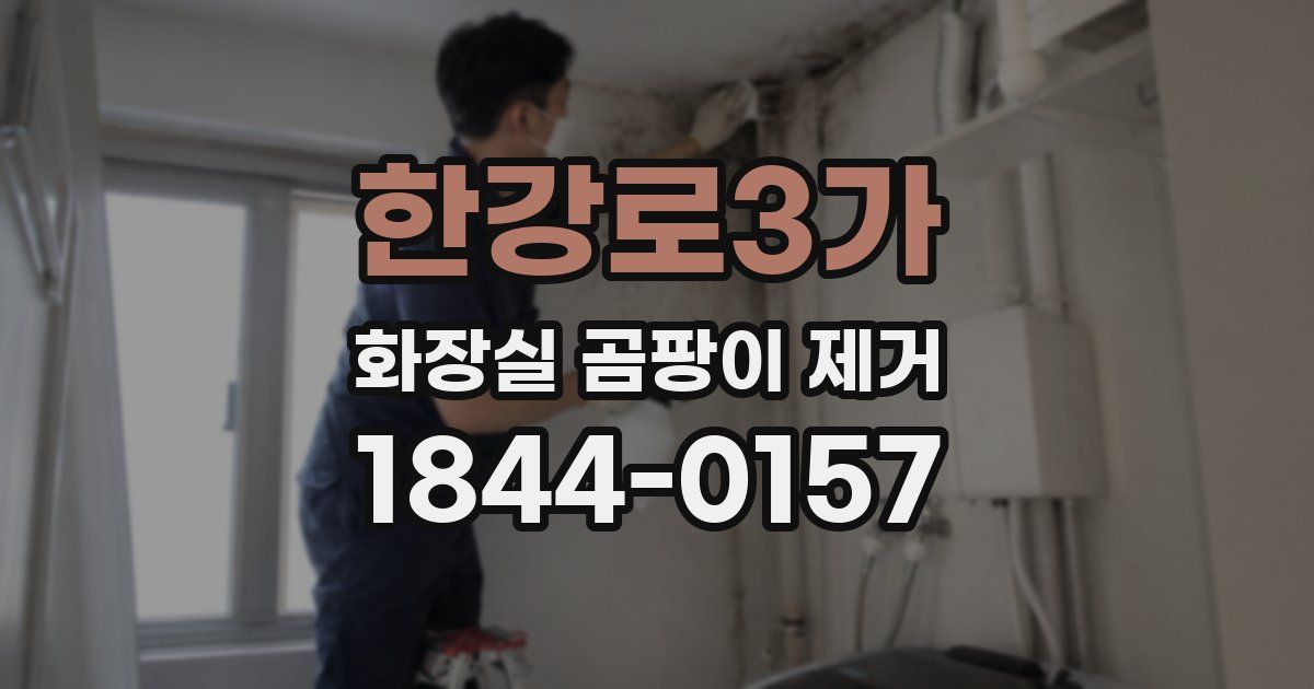 한강로3가 화장실 곰팡이 제거