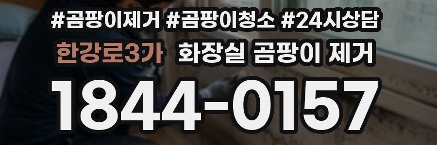 한강로3가 화장실 곰팡이 제거