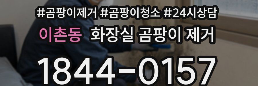 이촌동 화장실 곰팡이 제거