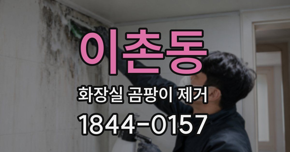 이촌동 화장실 곰팡이 제거