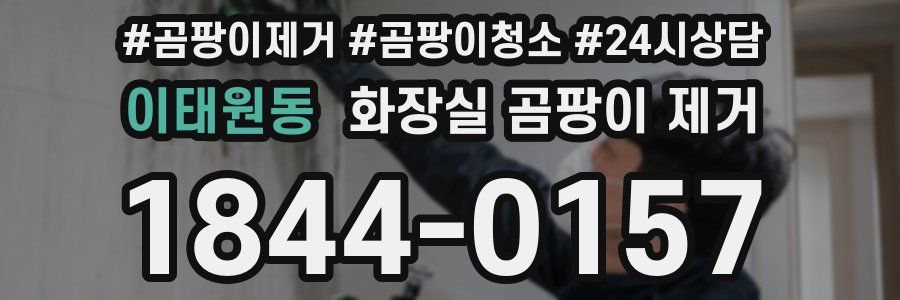 이태원동 화장실 곰팡이 제거