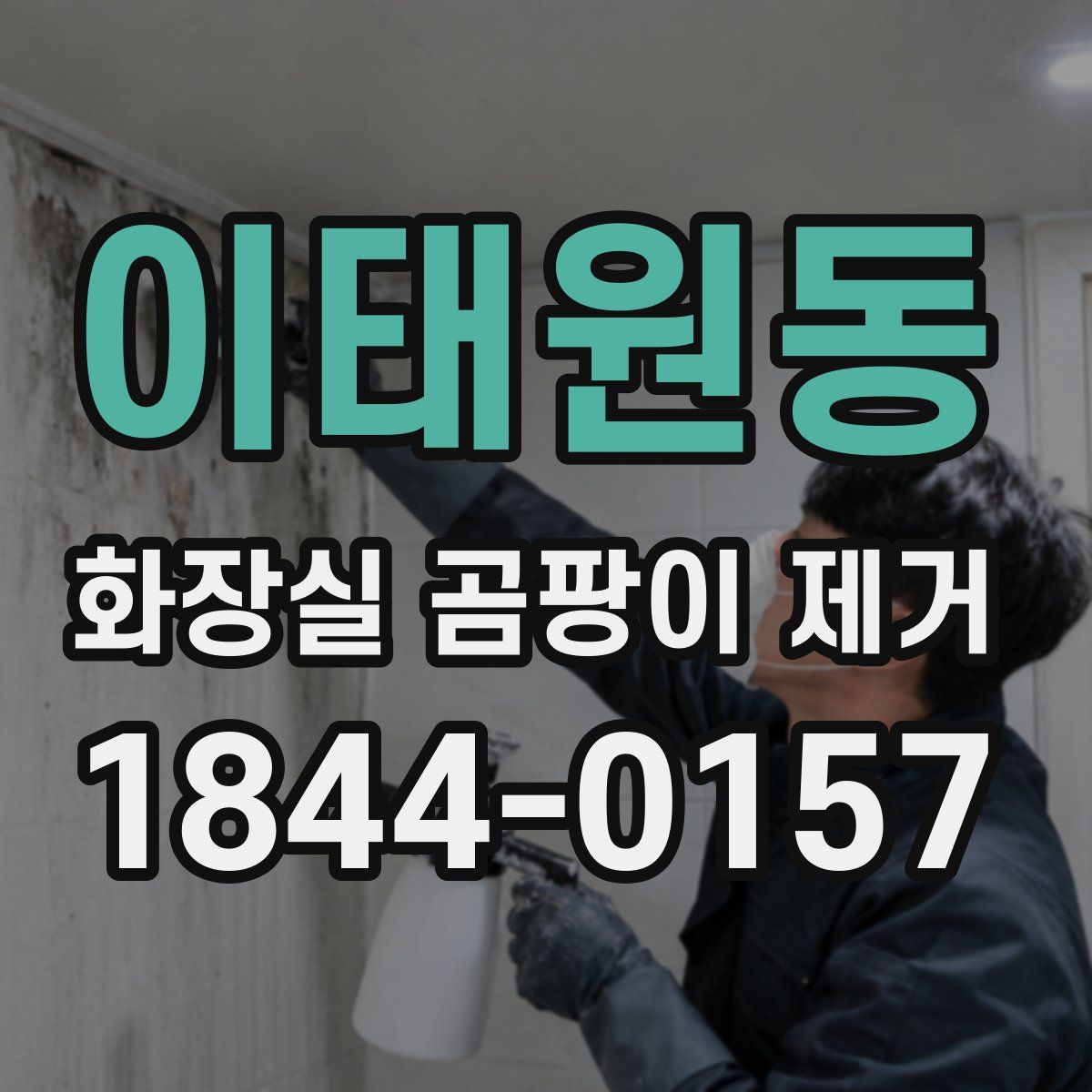 이태원동 화장실 곰팡이 제거