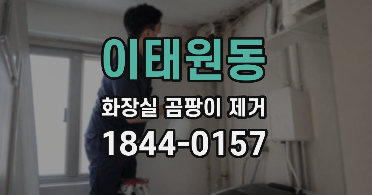 이태원동 화장실 곰팡이 제거