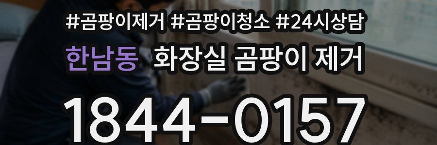 한남동 화장실 곰팡이 제거