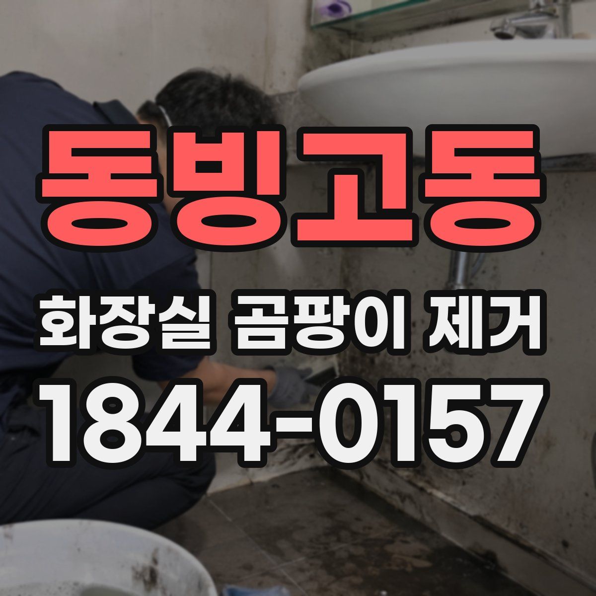 동빙고동 화장실 곰팡이 제거