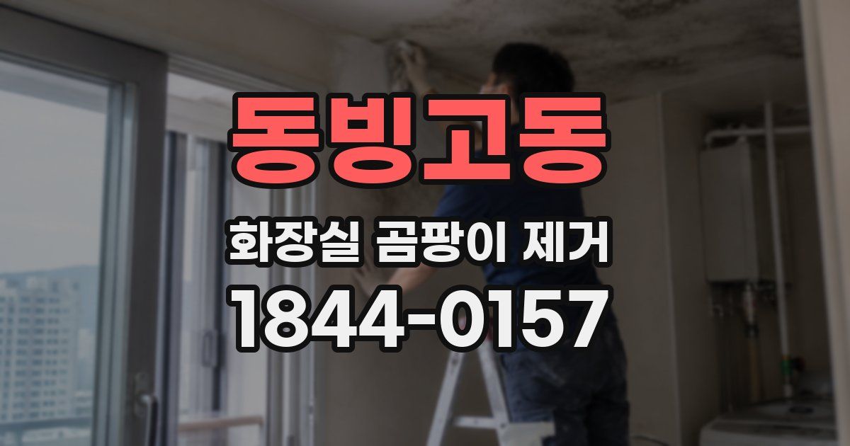 동빙고동 화장실 곰팡이 제거