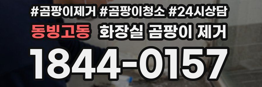 동빙고동 화장실 곰팡이 제거