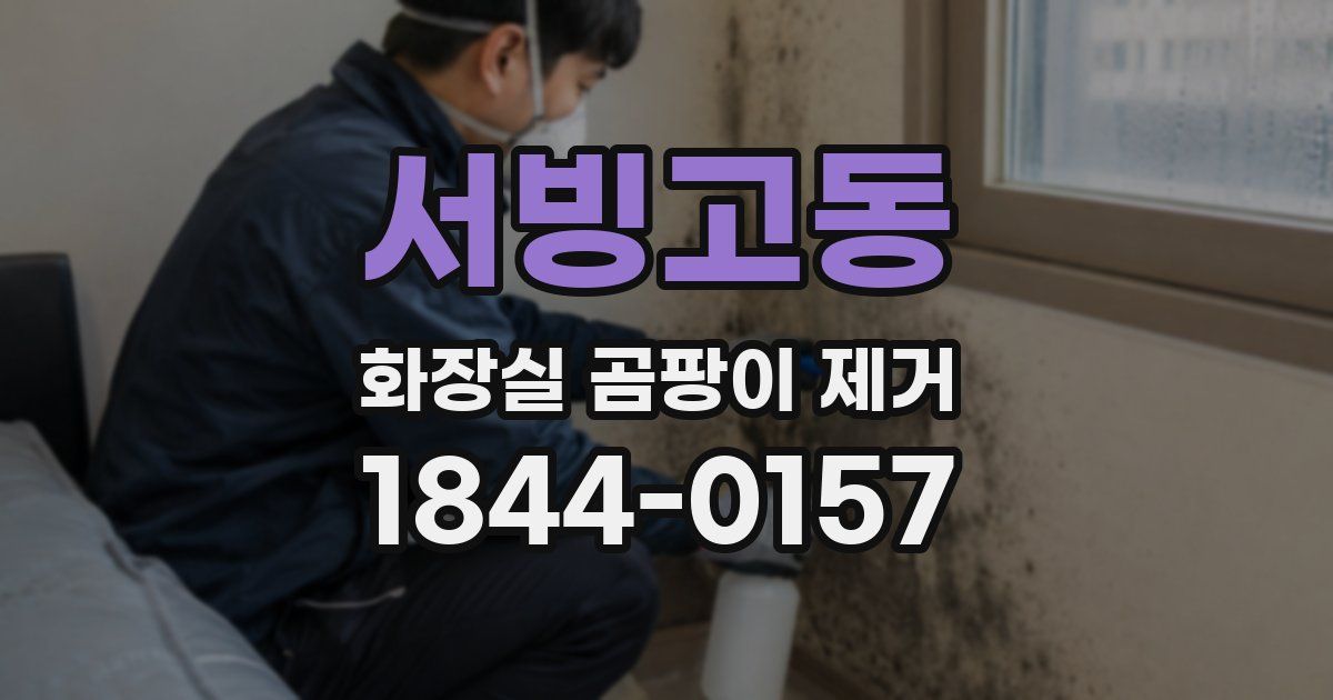 서빙고동 화장실 곰팡이 제거