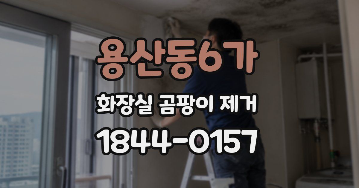 용산동6가 화장실 곰팡이 제거