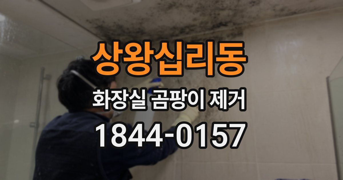 상왕십리동 화장실 곰팡이 제거
