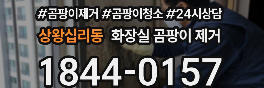 상왕십리동 화장실 곰팡이 제거