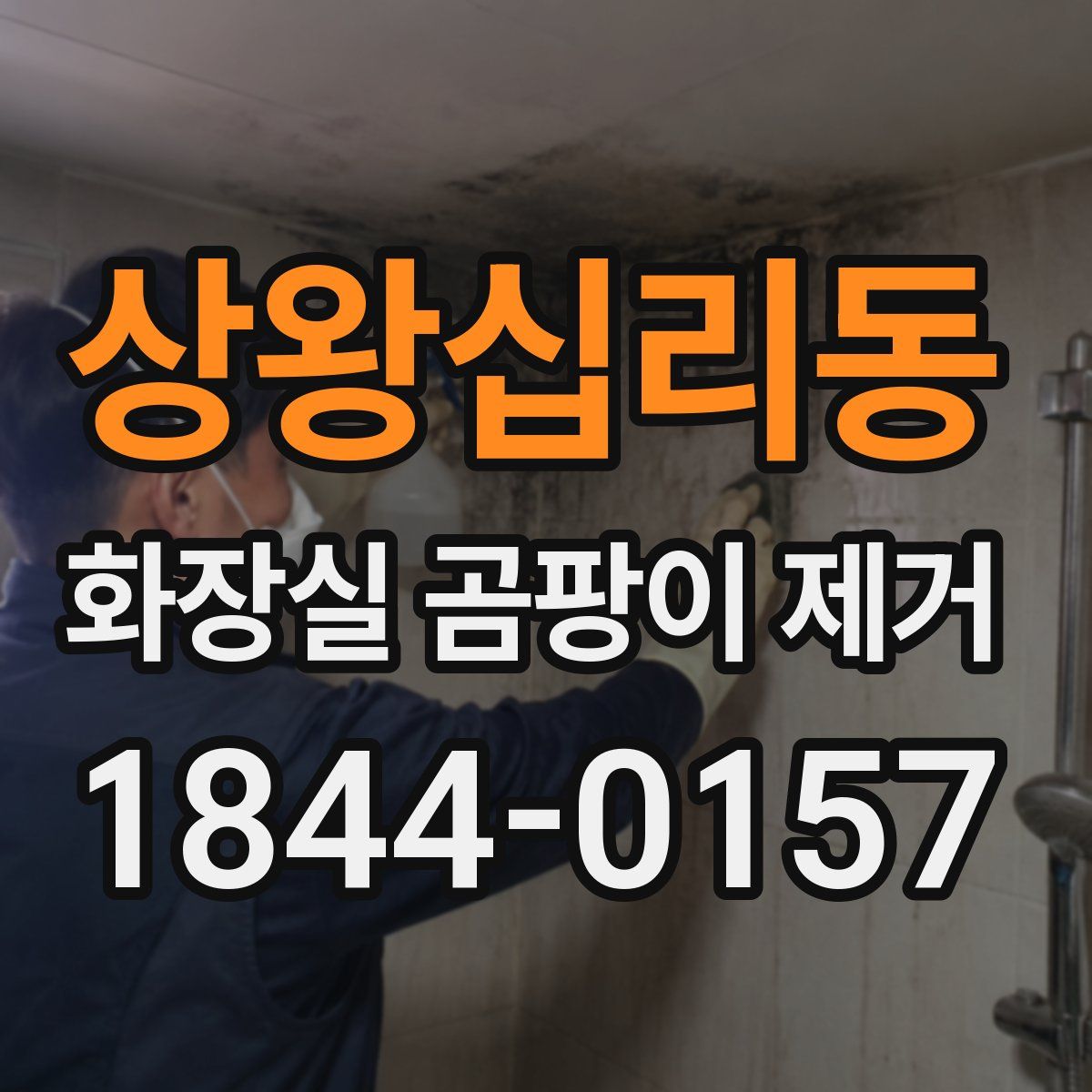 상왕십리동 화장실 곰팡이 제거