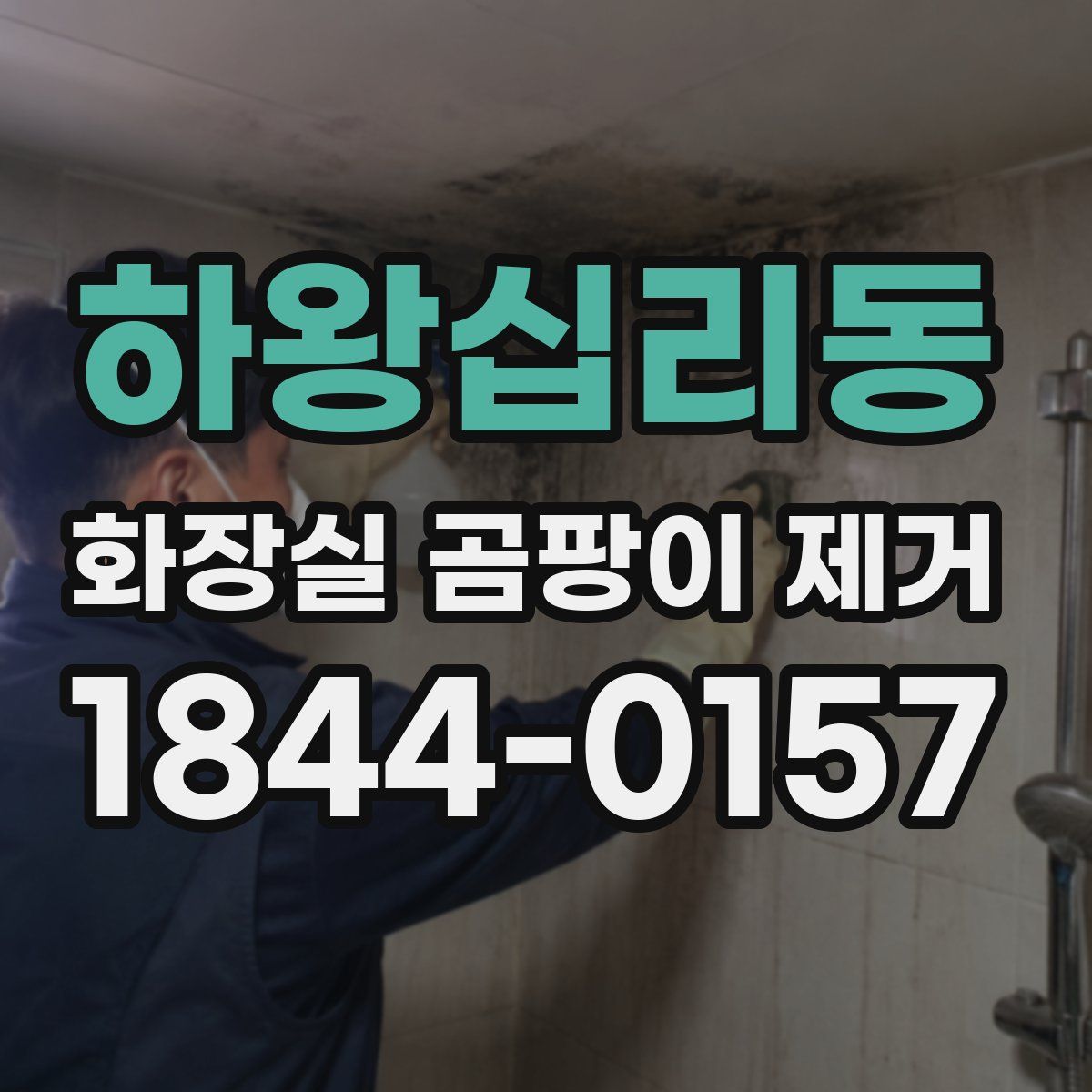 하왕십리동 화장실 곰팡이 제거