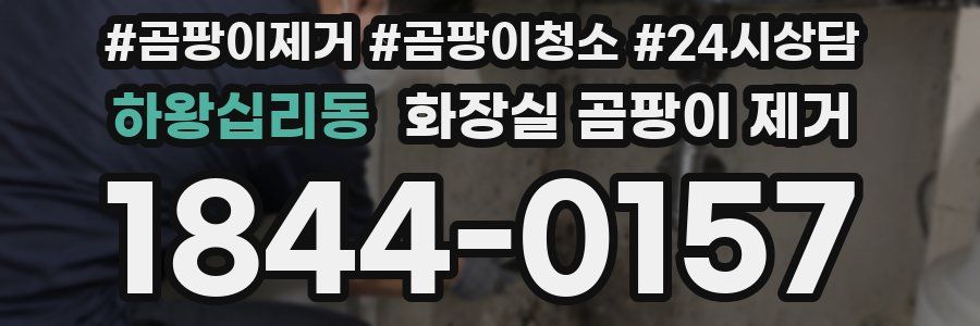 하왕십리동 화장실 곰팡이 제거