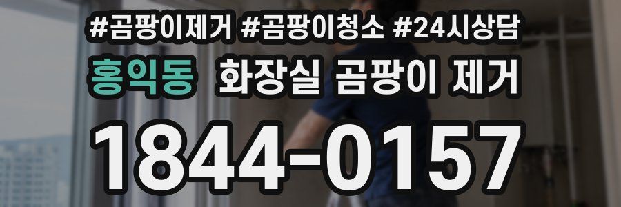 홍익동 화장실 곰팡이 제거