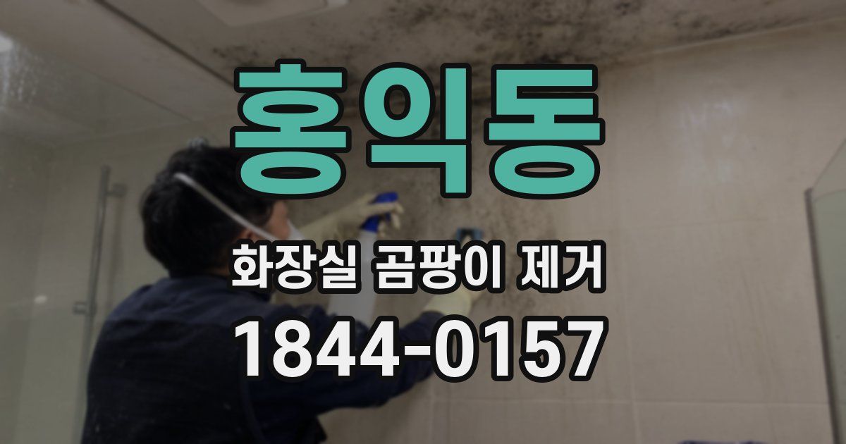 홍익동 화장실 곰팡이 제거