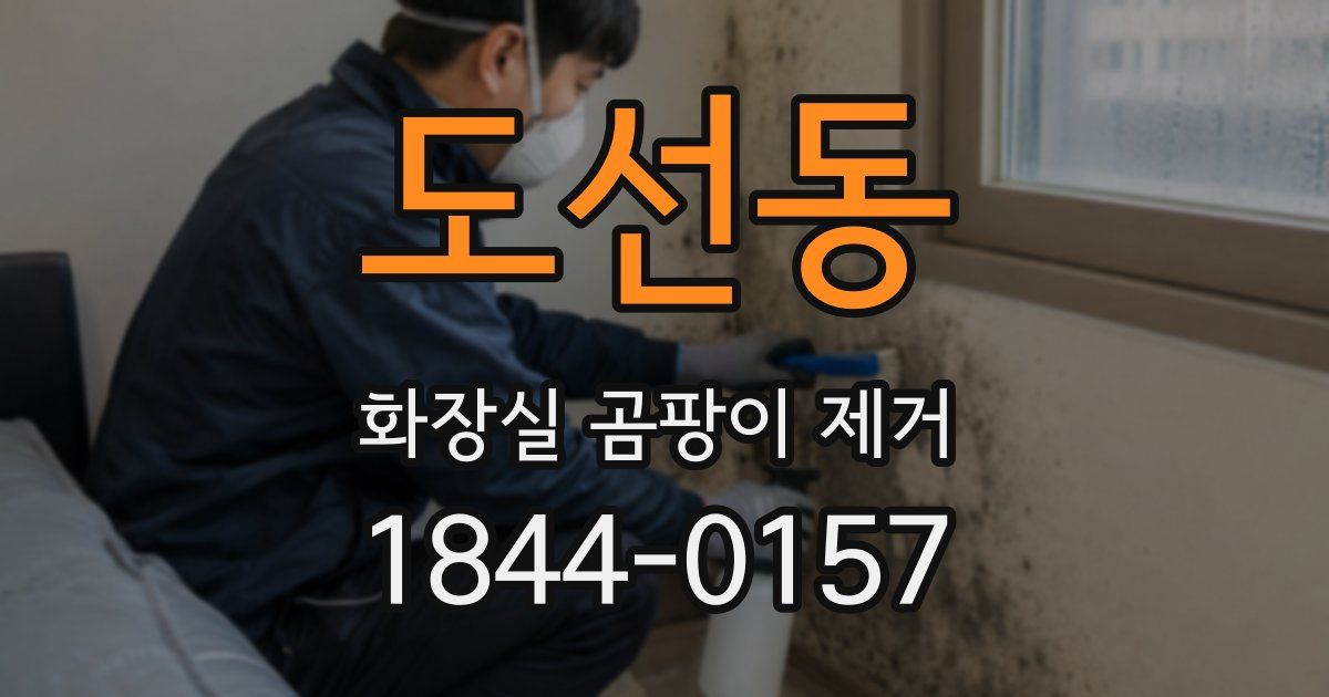 도선동 화장실 곰팡이 제거