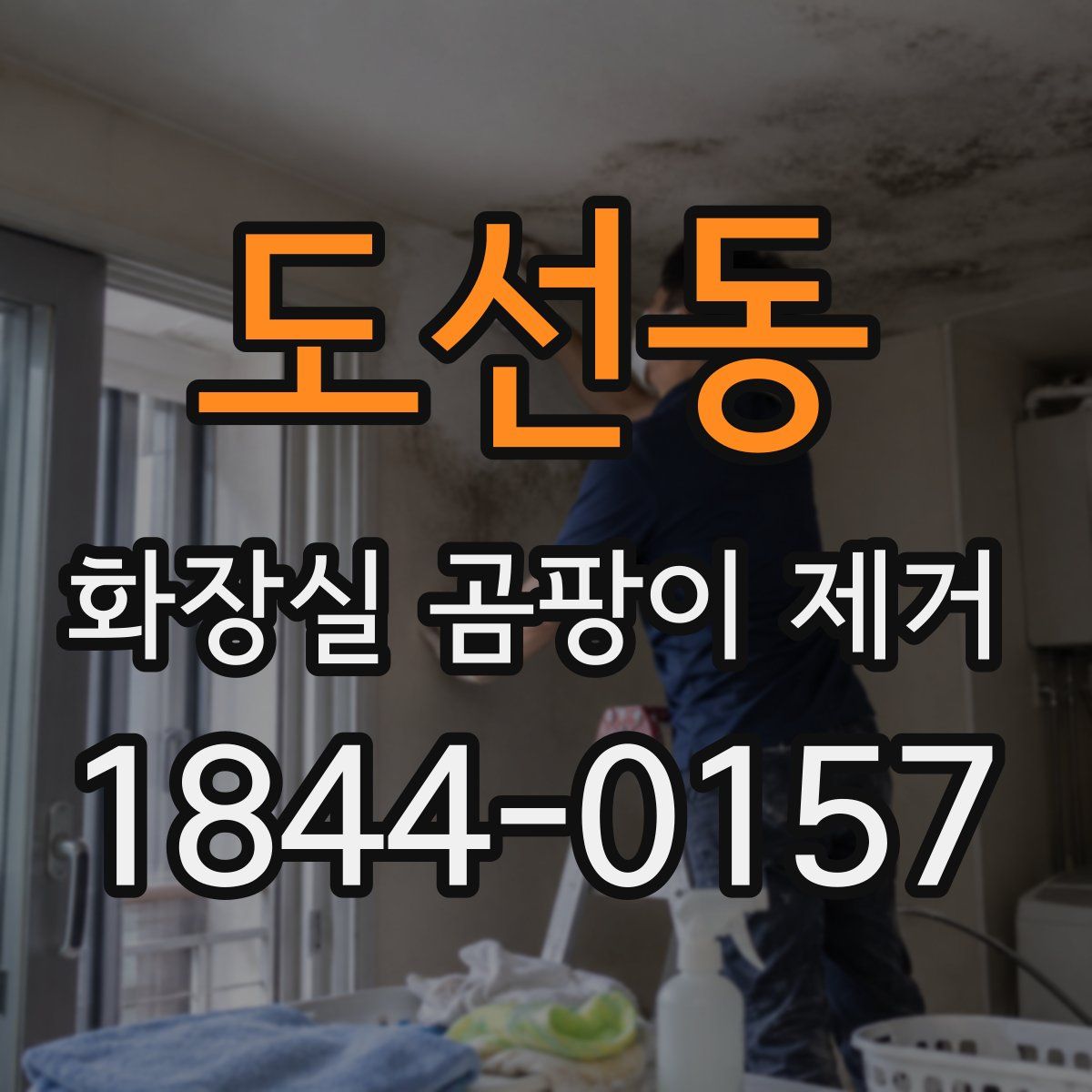 도선동 화장실 곰팡이 제거