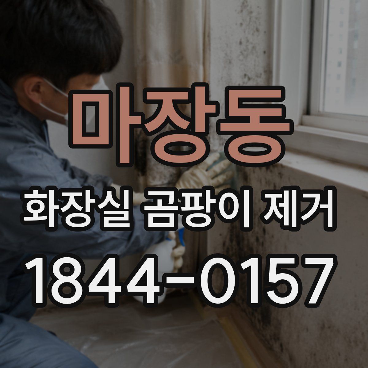 마장동 화장실 곰팡이 제거