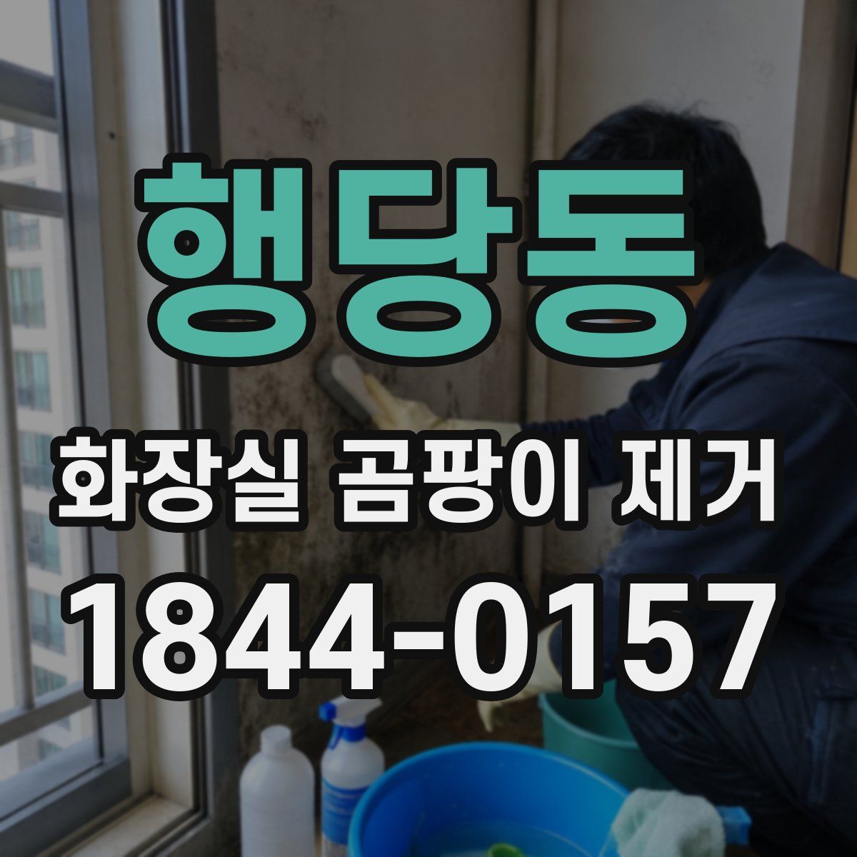 행당동 화장실 곰팡이 제거