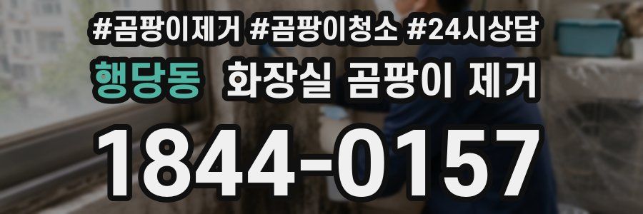 행당동 화장실 곰팡이 제거