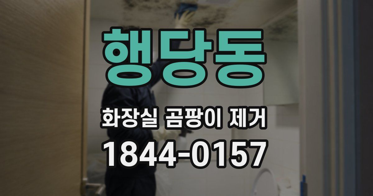 행당동 화장실 곰팡이 제거