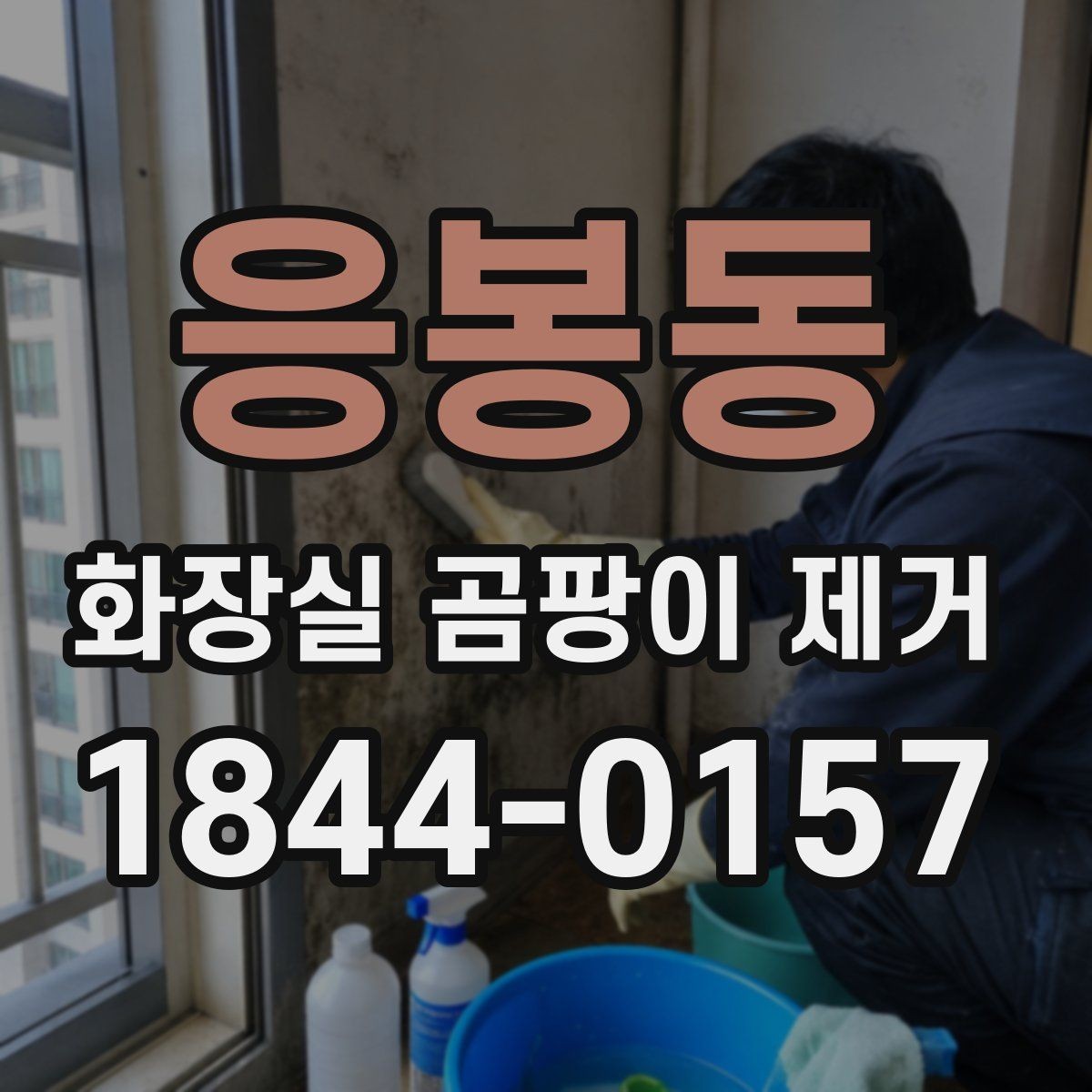 응봉동 화장실 곰팡이 제거 청소 도구별 효과 차이와 작업 순서