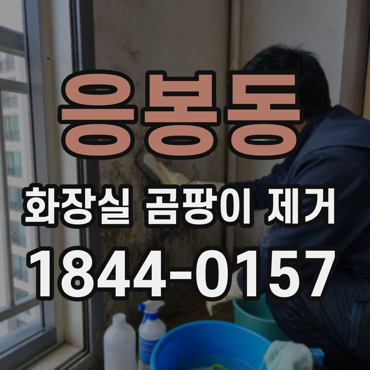 응봉동 화장실 곰팡이 제거
