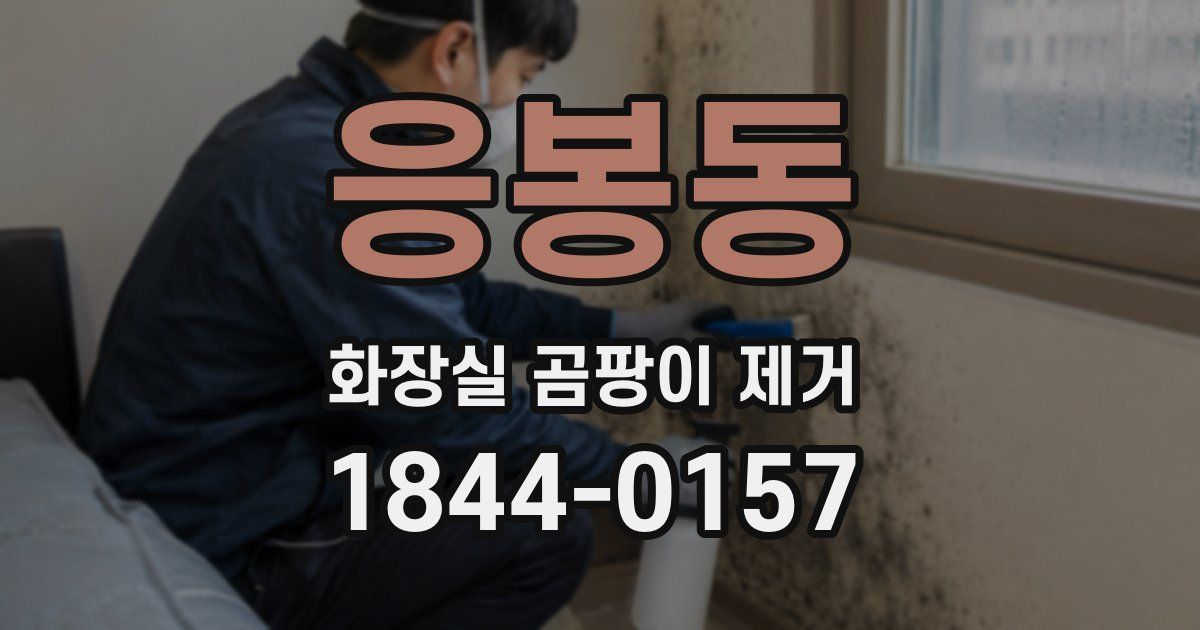응봉동 화장실 곰팡이 제거