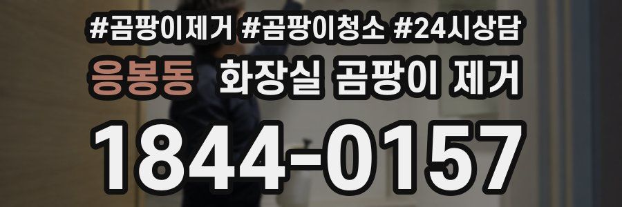 응봉동 화장실 곰팡이 제거