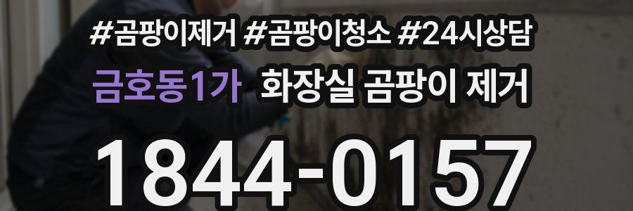 금호동1가 화장실 곰팡이 제거