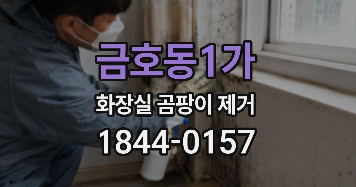 금호동1가 화장실 곰팡이 제거